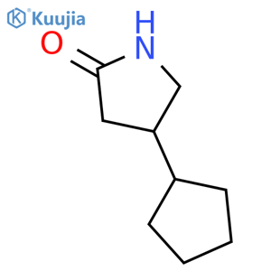 4-cyclopentylpyrrolidin-2-one structure