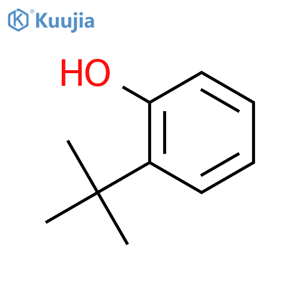 Phenol,(1,1-dimethylethyl)- structure