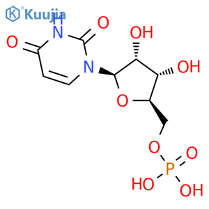 5'-Uridylic acid,homopolymer structure