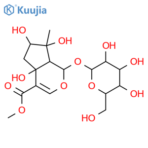 Lamiide structure