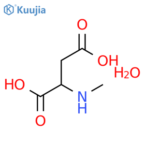 (+/-)-2-(Methylamino)succinic acid, monohydrate structure