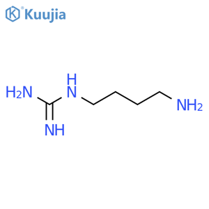 N-(4-aminobutyl)guanidine structure