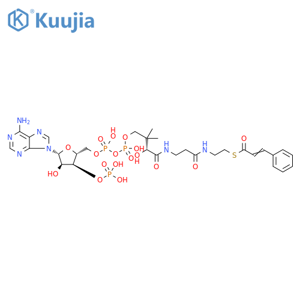 Coenzyme A, S-(3-phenyl-2-propenoate) structure