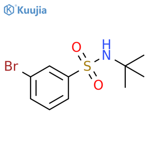 3-Bromo-N-tert-butylbenzenesulfonamide structure