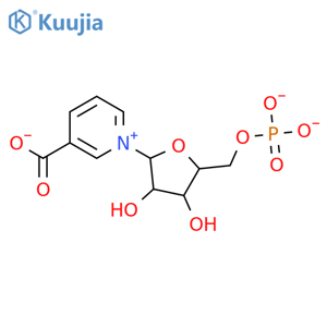 Nicotinic acid mononucleotide structure