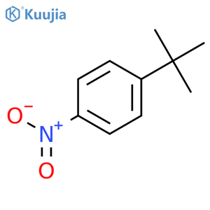 1-tert-Butyl-4-nitrobenzene structure