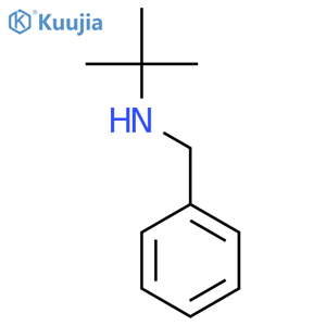 N-(1,1-Dimethylethyl)benzenemethanamine structure