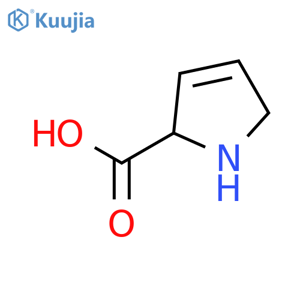 2,5-Dihydro-1H-pyrrole-2-carboxylic acid structure