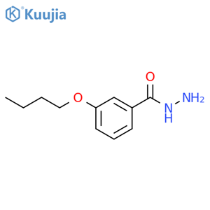 3-Butoxybenzohydrazide structure