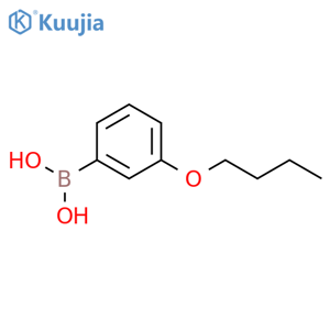 3-Butoxyphenylboronic acid structure