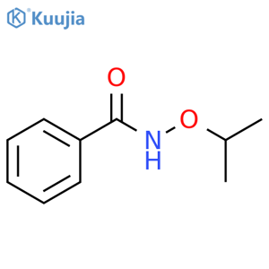 Benzamide, N-(1-methylethoxy)- structure