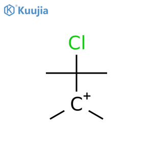 Propylium, 2-chloro-1,1,2-trimethyl- structure