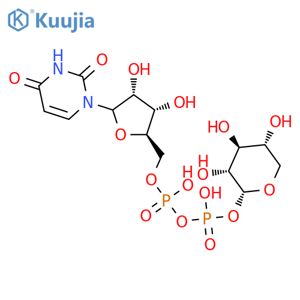 UDP-a-D-xylose structure