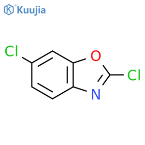 2,6-dichloro-1,3-benzoxazole structure