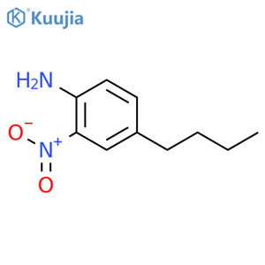 Benzenamine,4-butyl-2-nitro- structure