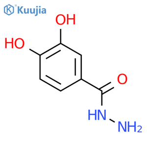 3,4-Dihydroxybenzhydrazide structure