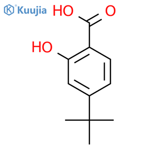 4-tert-butyl-2-hydroxybenzoic acid structure