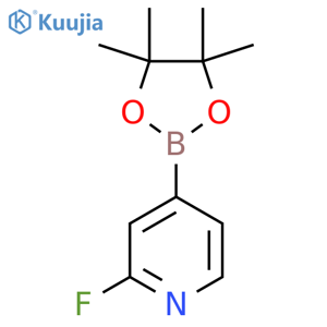 2-Fluoro-4-(4,4,5,5-tetramethyl-1,3,2-dioxaborolan-2-yl)pyridine structure