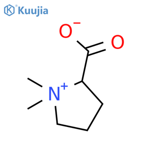 Stachydrine structure