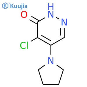 4-chloro-5-(pyrrolidin-1-yl)-2,3-dihydropyridazin-3-one structure