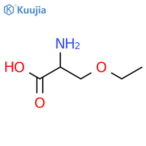 (S)-2-Amino-3-ethoxy-propionic Acid Hydrochloride structure