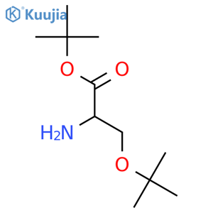 H-Ser(tbu)-OtBu structure