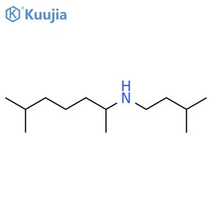 (3-methylbutyl)(6-methylheptan-2-yl)amine structure