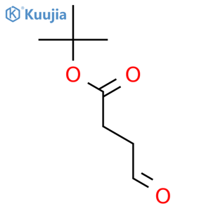 tert-butyl 4-oxobutanoate structure