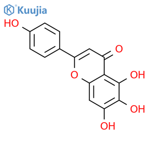 Scutellarein structure