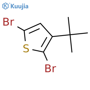 Thiophene, 2,5-dibromo-3-(1,1-dimethylethyl)- structure