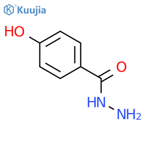 4-Hydroxybenzhydrazide structure