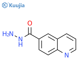 Quinoline-6-carbohydrazide structure