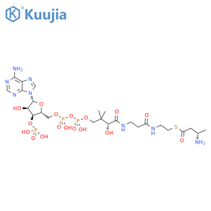 Coenzyme A, S-[(3S)-3-aminobutanoate] structure
