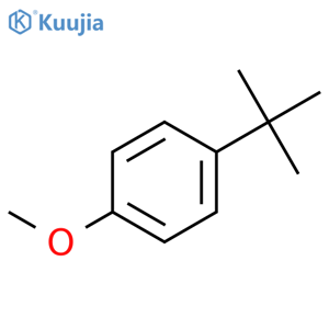 4-Tert-Butylanisole structure