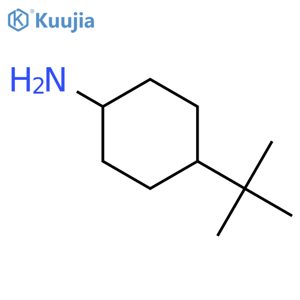 4-(tert-Butyl)cyclohexanamine structure