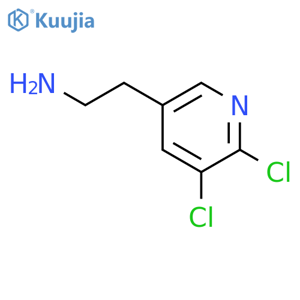 2-(5,6-dichloropyridin-3-yl)ethan-1-amine structure