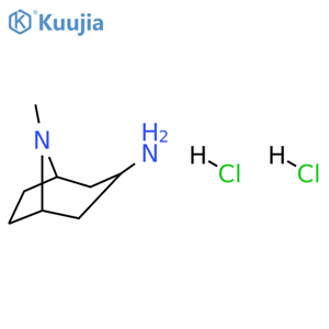 3-endo-8-Methyl-8-azabicyclo[3.2.1]octan-3-amine dihydrochloride structure