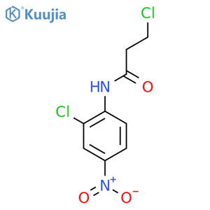 3-chloro-N-(2-chloro-4-nitrophenyl)propanamide structure