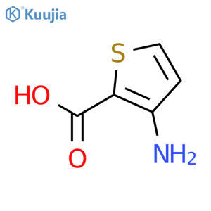 3-Aminothiophene-2-carboxylic acid structure