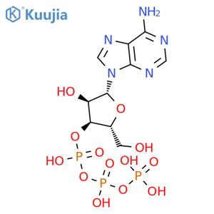 55612-37-8 structure