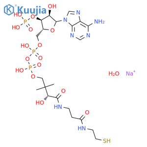 Coenzyme A sodium salt hydrate structure