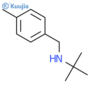 N-(4-Methylphenylmethyl)tert-butylamine structure