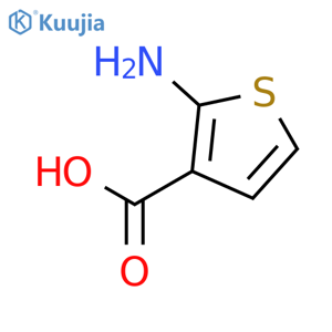 2-Aminothiophene-3-carboxylic acid structure