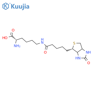 (2S)-6-{5-[(3aS,4S,6aR)-2-oxo-hexahydro-1H-thieno[3,4-d]imidazol-4-yl]pentanamido}-2-aminohexanoic acid structure