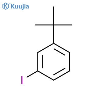 1-tert-Butyl-3-Iodobenzene structure