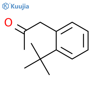 1-(2-tert-butylphenyl)propan-2-one structure