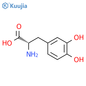 L-DOPA structure