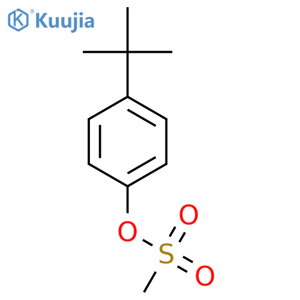 4-t-butylphenyl methanesulfonate structure