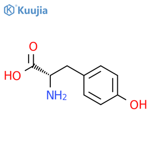 L-Tyrosine structure