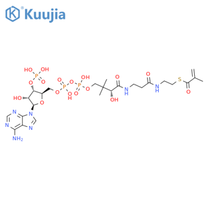 Methylacrylyl-CoA structure